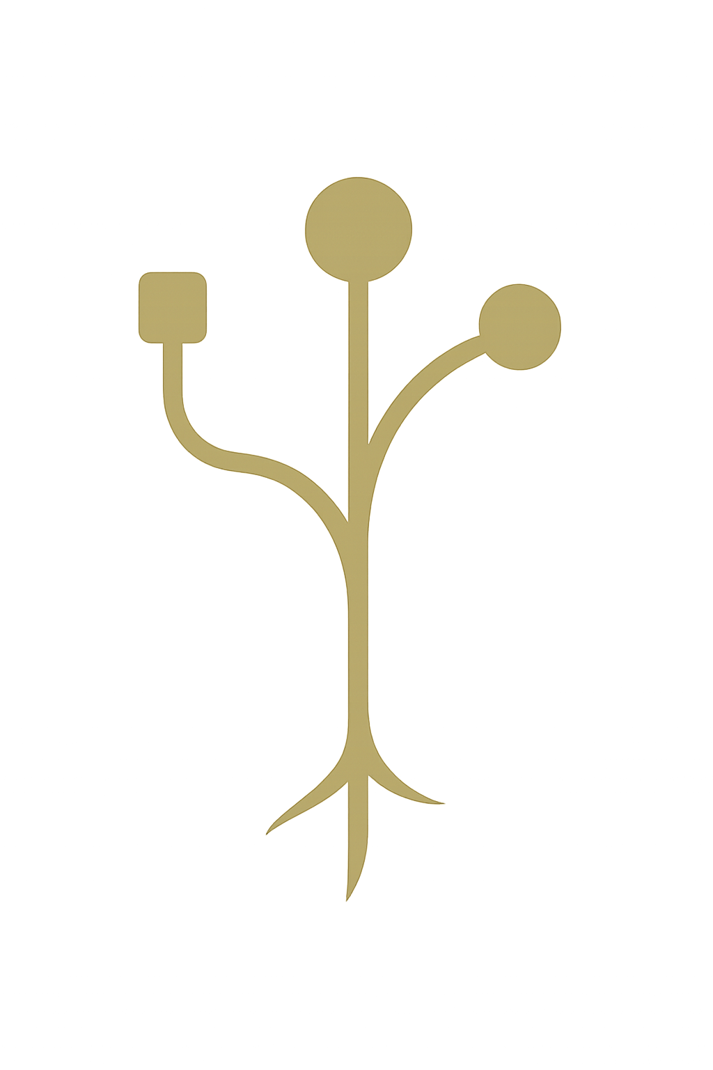 PET Logo